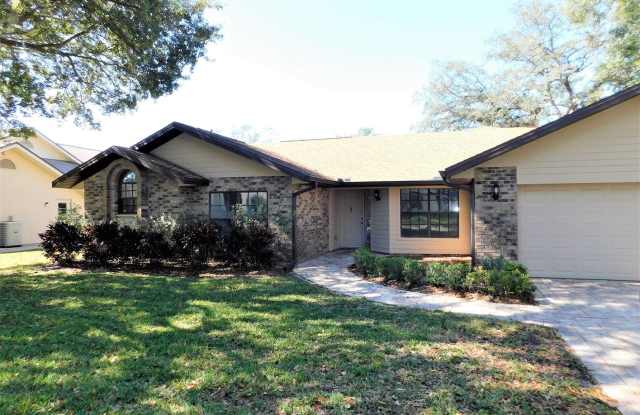 Gorgeous Pool Home in Country Oak Estates - 758 Timuquana Lane, Palm Harbor, FL 34683