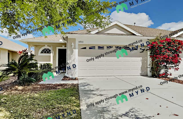 31913 Turkeyhill Dr - 31913 Turkeyhill Dr, Wesley Chapel, FL 33543