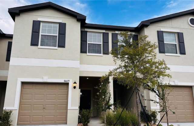 36079 RISA MICHELE STREET photos photos