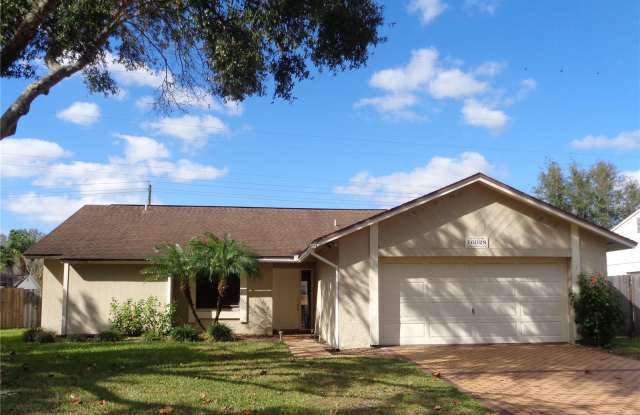 16028 EAGLE RIVER WAY - 16028 Eagle River Way, Northdale, FL 33624