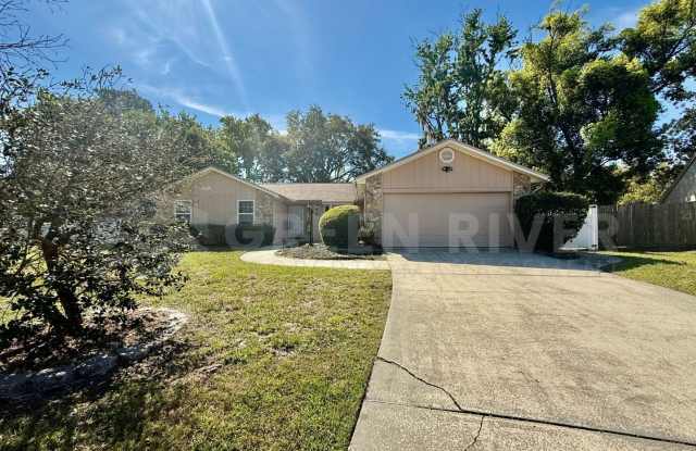 Pool home in Orange Park! photos photos