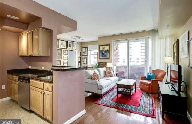 880 N POLLARD Street unit: 1002 photos photos