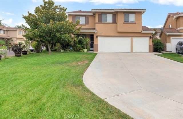 5741 Marmot photos photos