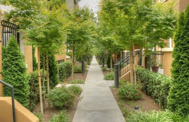2311 Winepol Loop - 2311 Winepol Loop, San Jose, CA 95125