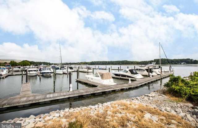 525 BELMONT BAY Drive Gallery 2