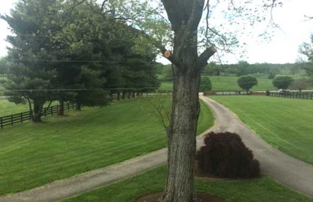 Kentucky mansion overlooking horse farm with stunning views       20260930 Gallery 4