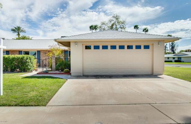 10339 W Desert Forest Circle - 10339 West Desert Forest Circle, Sun City, AZ 85351
