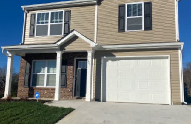 353 Oak Branch Road - 353 Oak Branch Road, Buncombe County, NC 28704