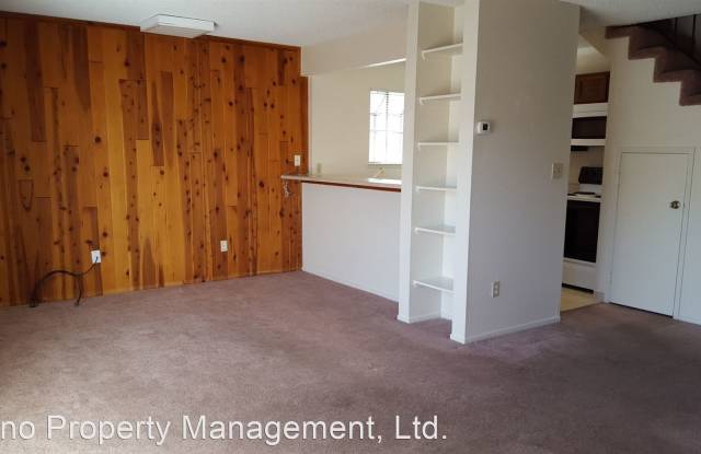 3126 Bristle Branch Dr Gallery 4