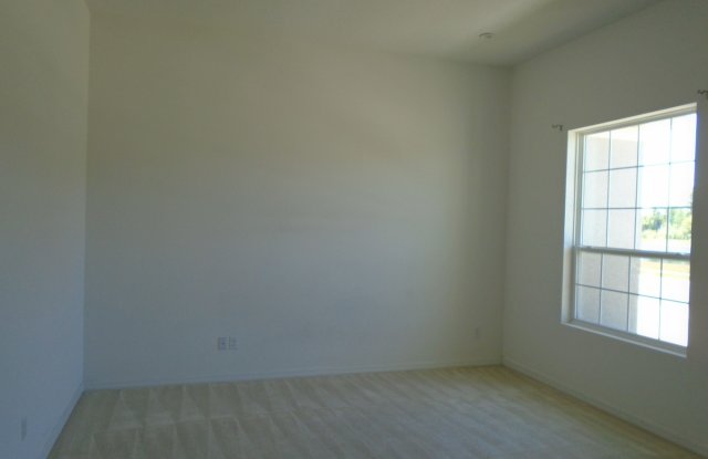 Sawgrass Plantation 4/3.5 Home - 12293 Sabal Palmetto Place, Meadow Woods, FL 32824