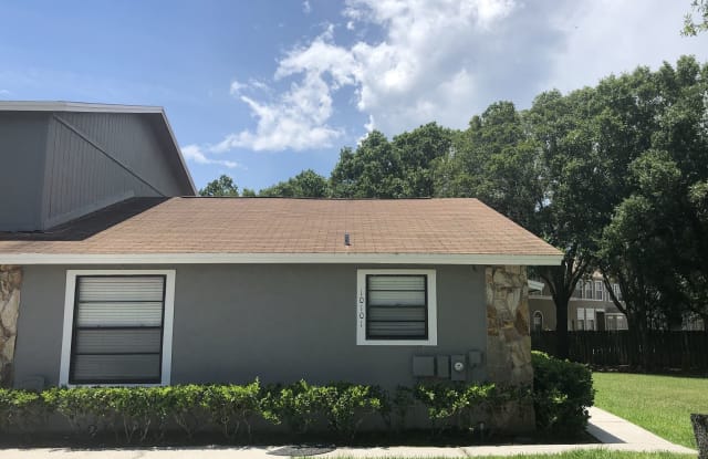10101 Lake Oak Cir - 10101 Lake Oak Cr, Carrollwood, FL 33624