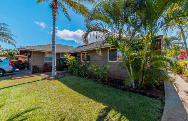 309 Wainohia Street photos photos