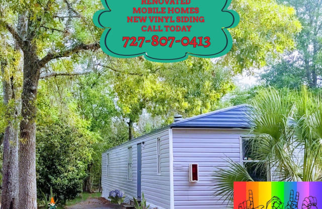 Forest Green Acres - 14016 Bluegill Lane, Pasco County, FL 34669