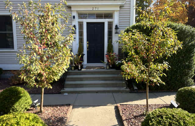 271 Washington Street Gallery 2