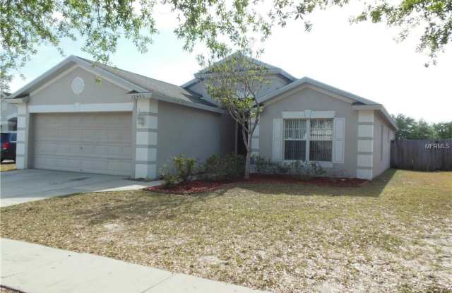 12403 HAWKEYE POINT PLACE - 12403 Hawkeye Point Place, Riverview, FL 33578