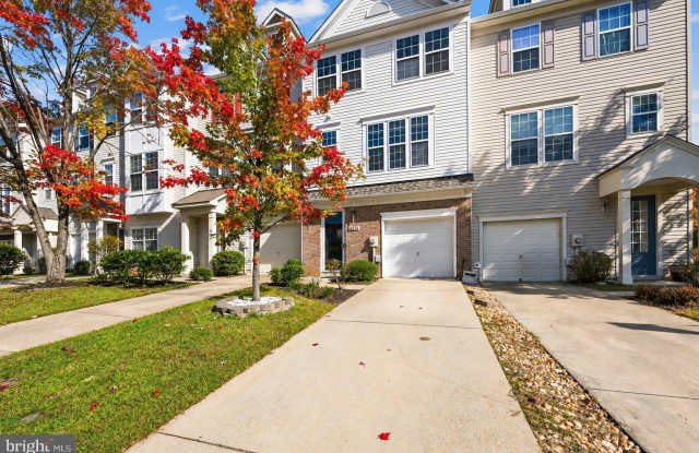 44574 RIVER OTTER Drive Gallery 1