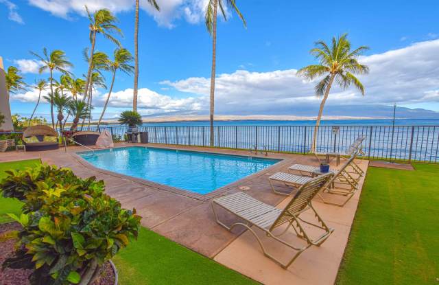 100 Hauoli Street - 1 Gallery 4