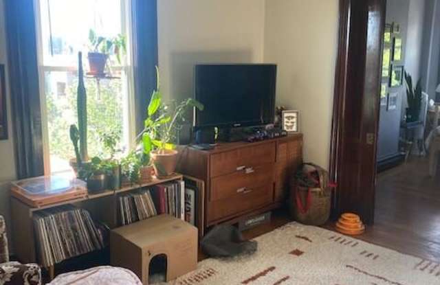 464 somerville Ave. Gallery 2