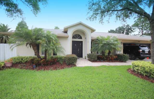 15008 ROCKY LEDGE DRIVE - 15008 Rocky Ledge Drive, Citrus Park, FL 33625