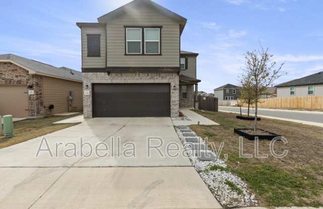 11766 Black Rose photos photos