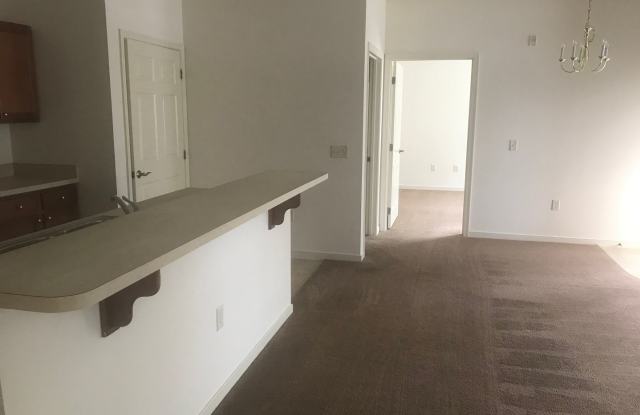 One Bedroom Allegheny Gallery 2