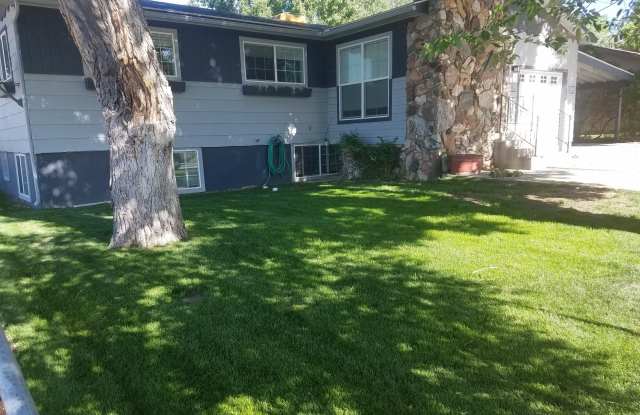 730 Green Street photos photos