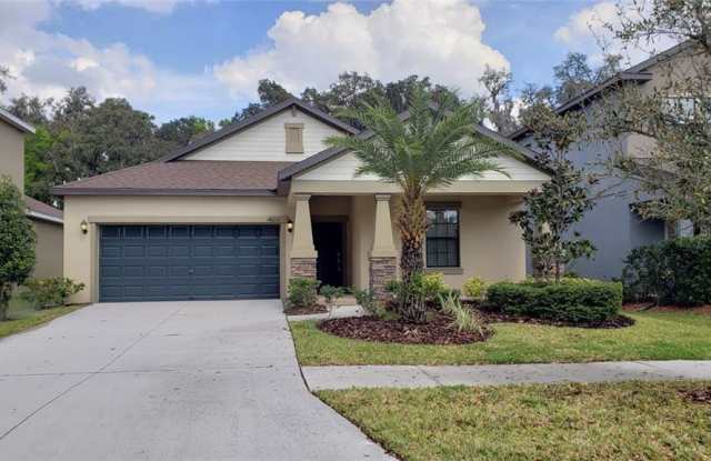 14212 BLUE DASHER DRIVE - 14212 Blue Dasher Drive, Fish Hawk, FL 33547
