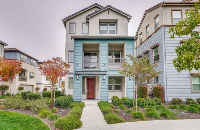 2284 Solace Loop photos photos