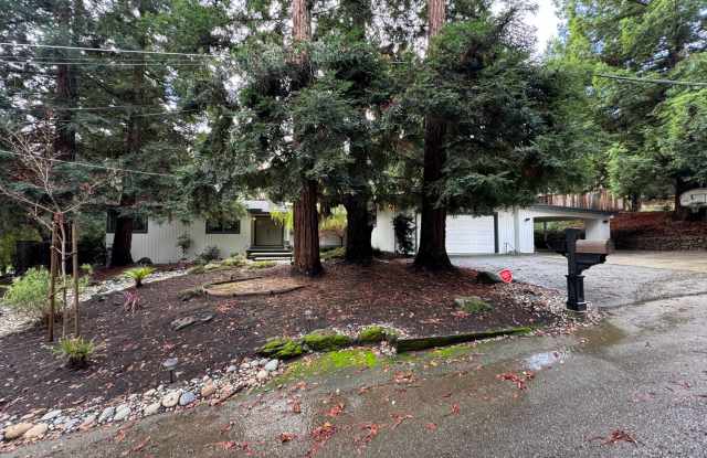 Gorgeous Single Level Home with Pool in Alamo! photos photos