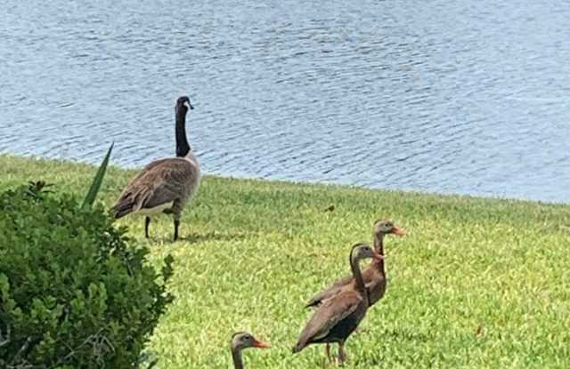 681 Midway Dr photos photos