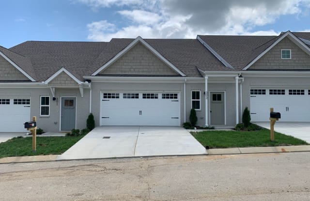 303 Annleeken Dr. - 303 Annleeken Drive, Smyrna, TN 37167