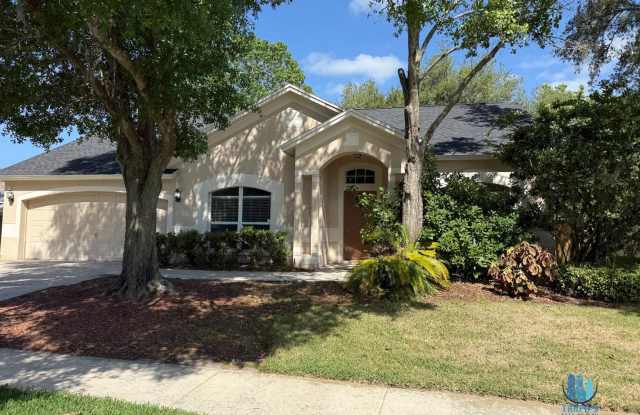 Beautiful 4 Bedrooms 2 Bathrooms Home for Rent in Wesley Chapel, FL photos photos
