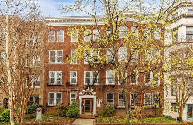 Charming 2BR Apartment in Dupont Circle photos photos
