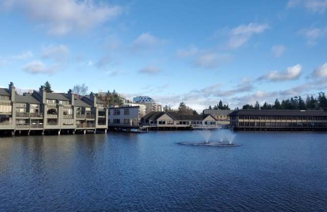 7 Lake Bellevue Dr.  #108 - 7 Lake Bellevue Drive, Bellevue, WA 98005