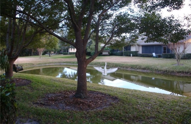 70 JOANNE PLACE - 70 Joanne Place, East Lake, FL 34677