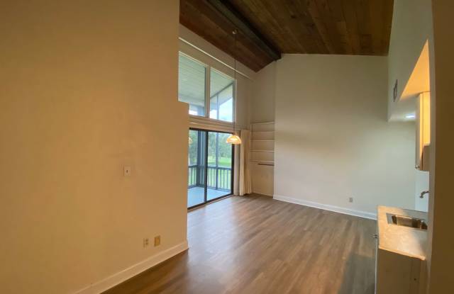 Studio in Grenelefe Gallery 4