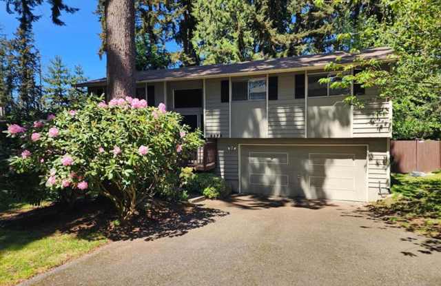 Beautiful 3 Bed 1.5 Bath Tri-Level home in Auburn photos photos
