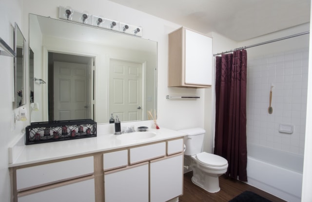 Rincon Apartments Gallery 4