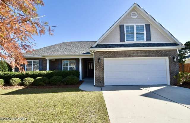 7550 Ireland Court - 7550 Ireland Court, Murraysville, NC 28411
