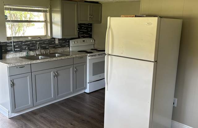 218 Floral Ave - 218 Floral Avenue, Eustis, FL 32726