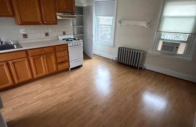 3921 CRESSON Street Gallery 4