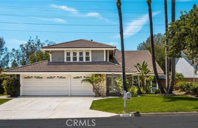 5463 Lupine Street Gallery 1