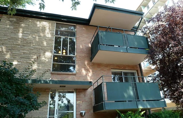 1255 Race Street - 1255 North Race Street, Denver, CO 80206