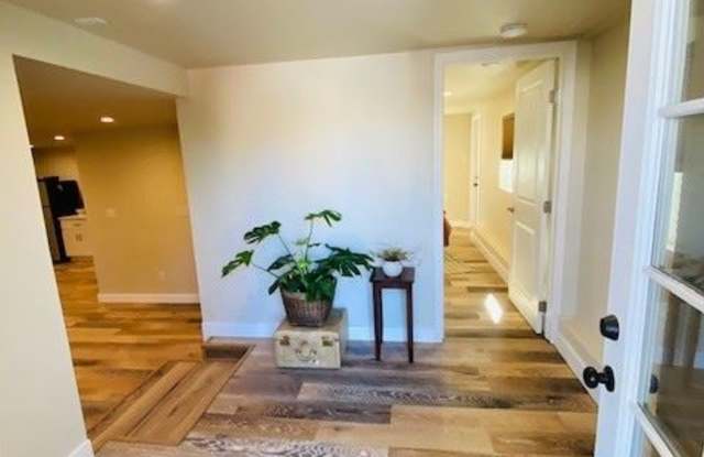 65 Buena Vista Gallery 2