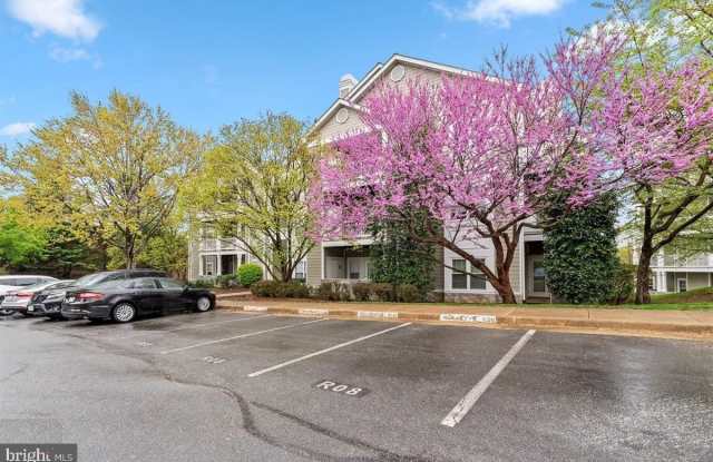 1708 LAKE SHORE CREST Drive Gallery 2