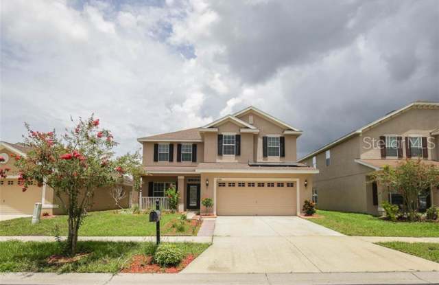 11108 IRISH MOSS AVENUE - 11108 Irish Moss Avenue, Riverview, FL 33569