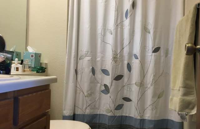 3 Bedroom 3 Bath Home - Louisville! photos photos