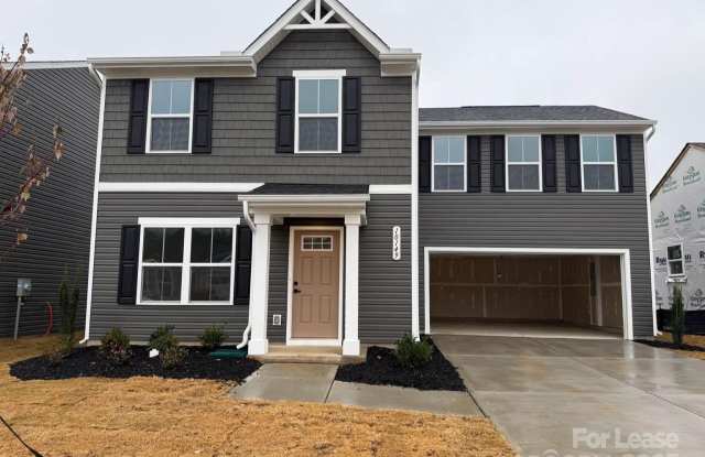 10149 Florentine Way - 10149 Florentine Way, Mecklenburg County, NC 28214