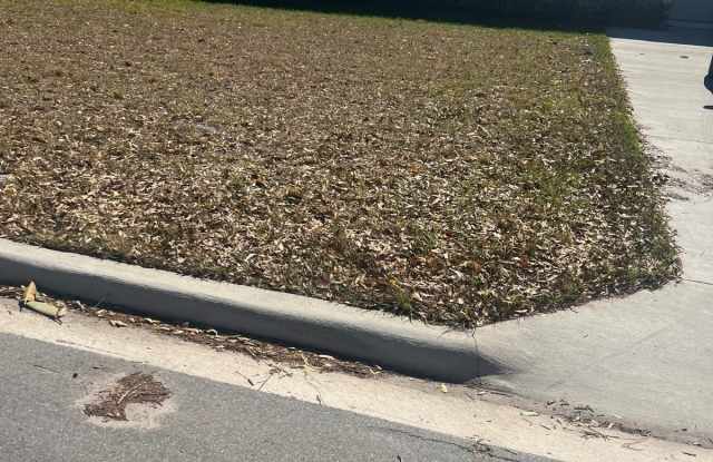 2703 Avenue G unit: A & B photos photos