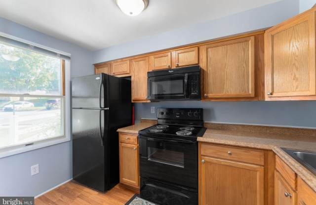 1684 THENIA Place Gallery 3